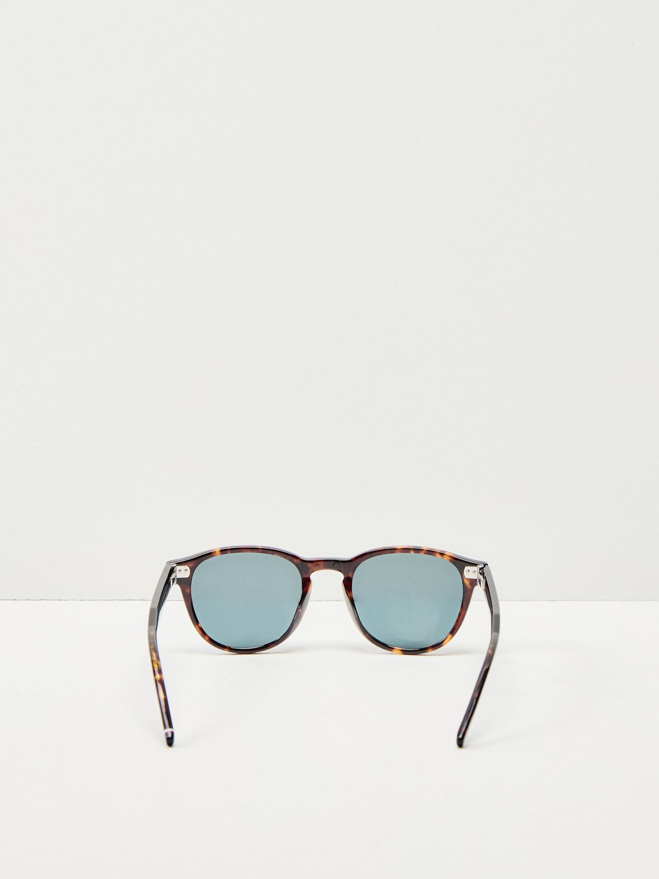Mens Round Havana Sunglasses