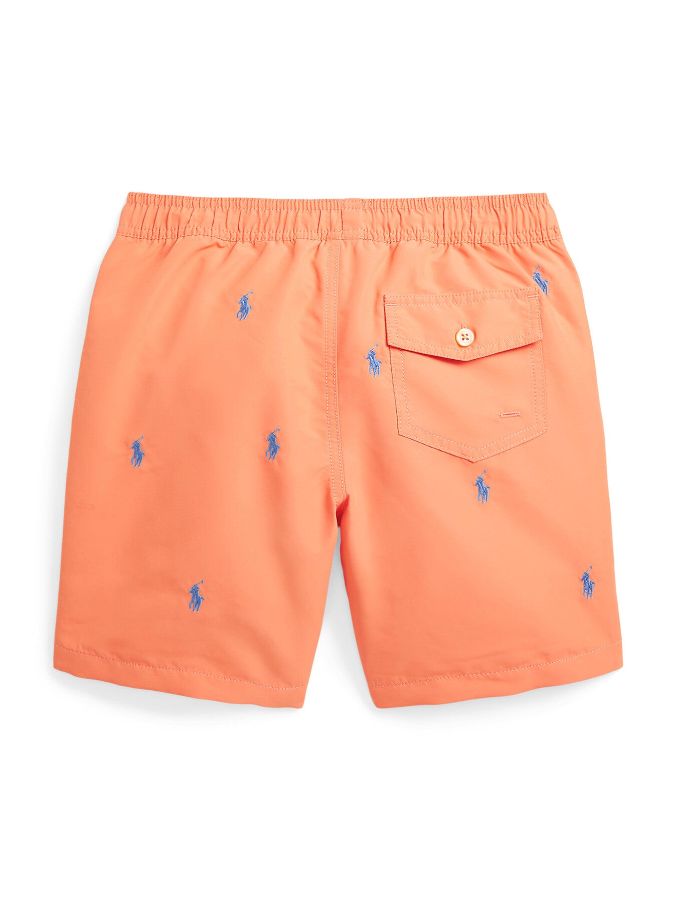 Traveller Polo Pony Swimming Trunk