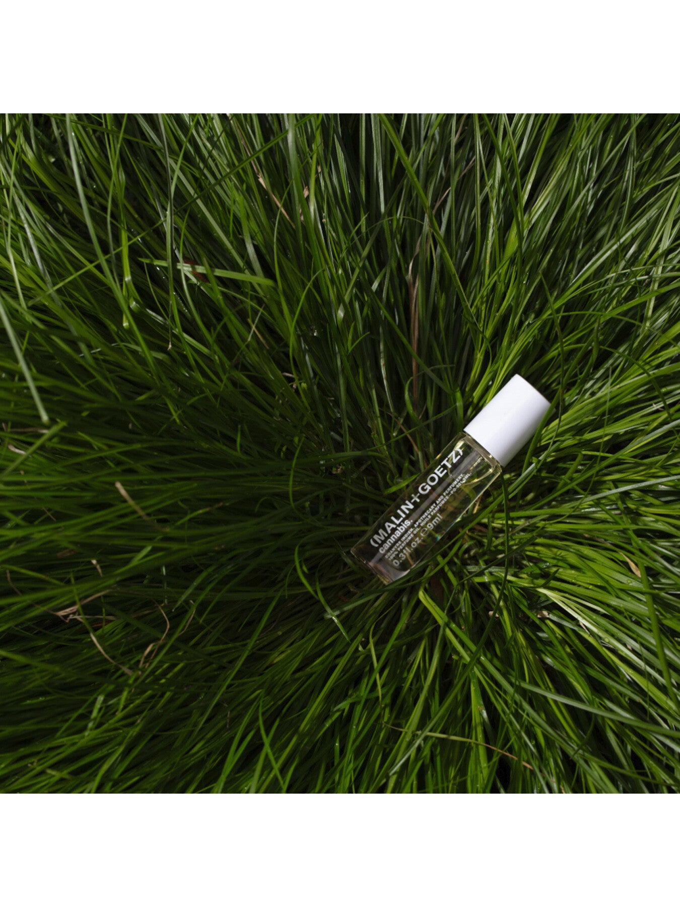 Cannabis Perfume Oil 9ml