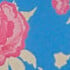 Rose Shell Blue