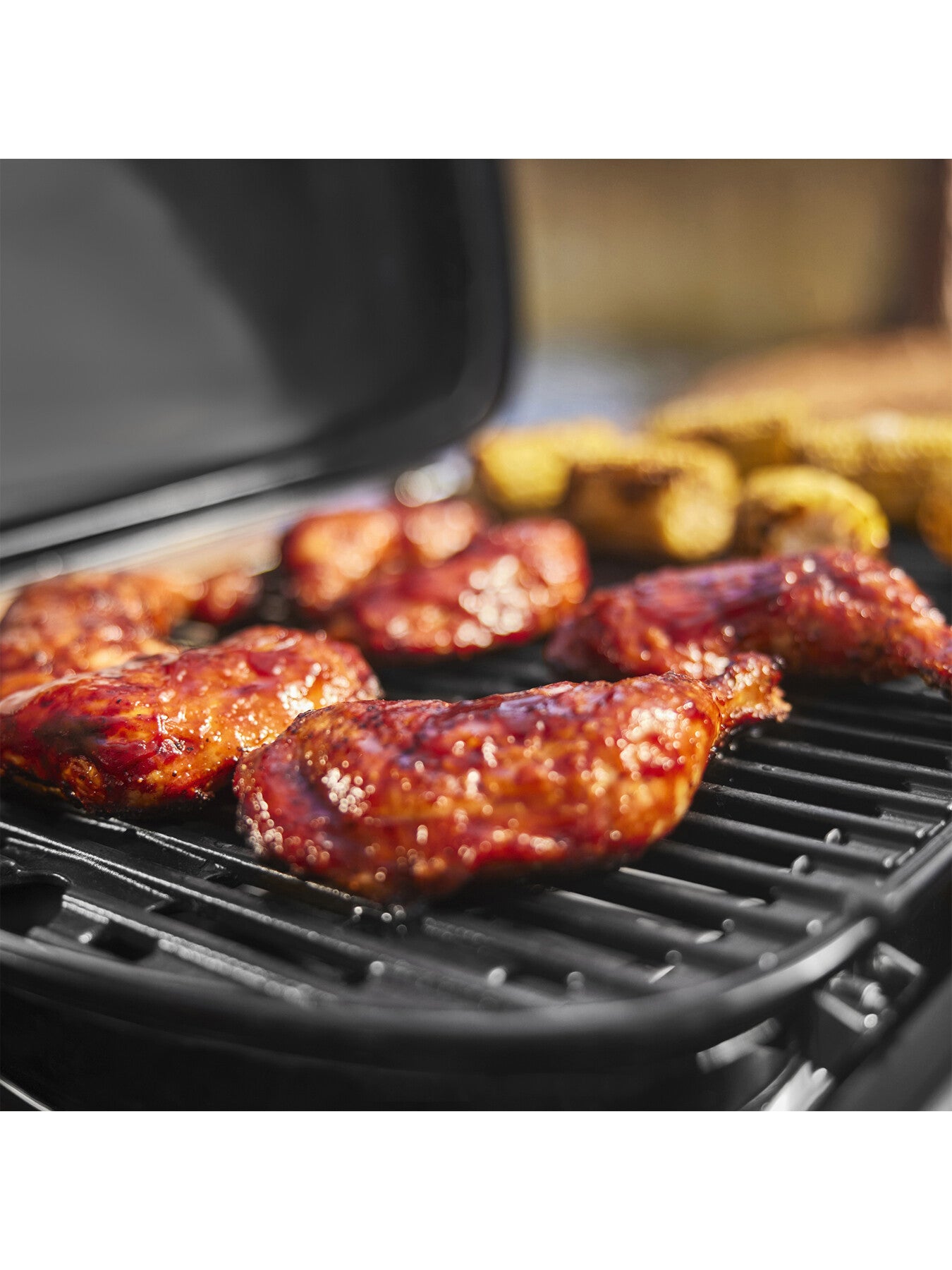 Traveler Compact Gas BBQ