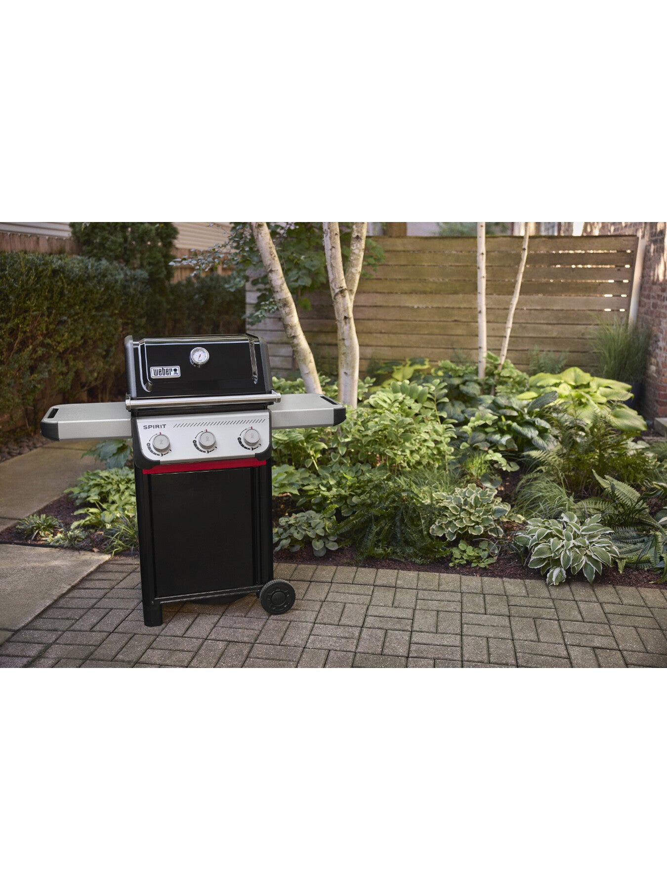 SPIRIT E-310 Gas BBQ