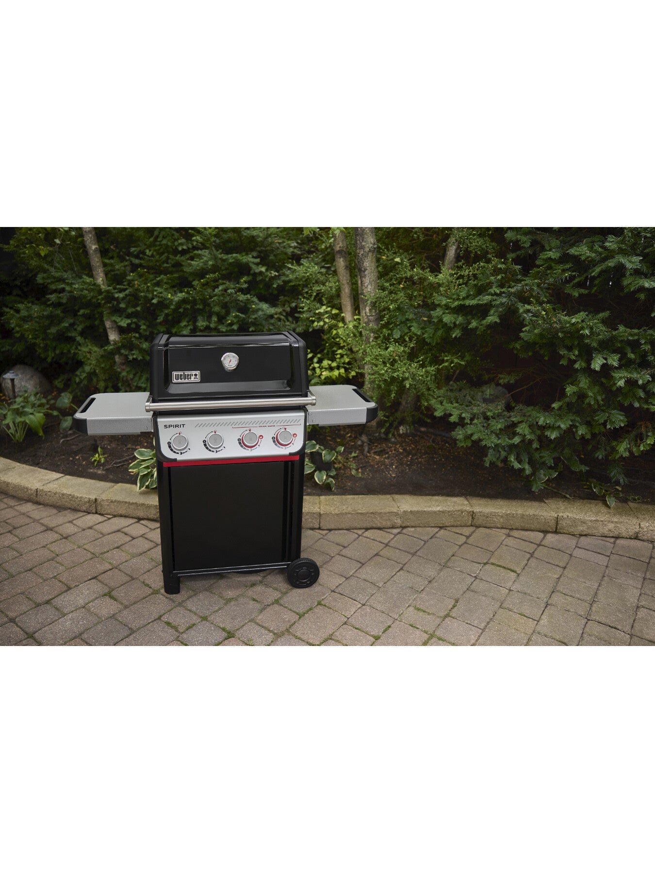SPIRIT E-425 Barbecue