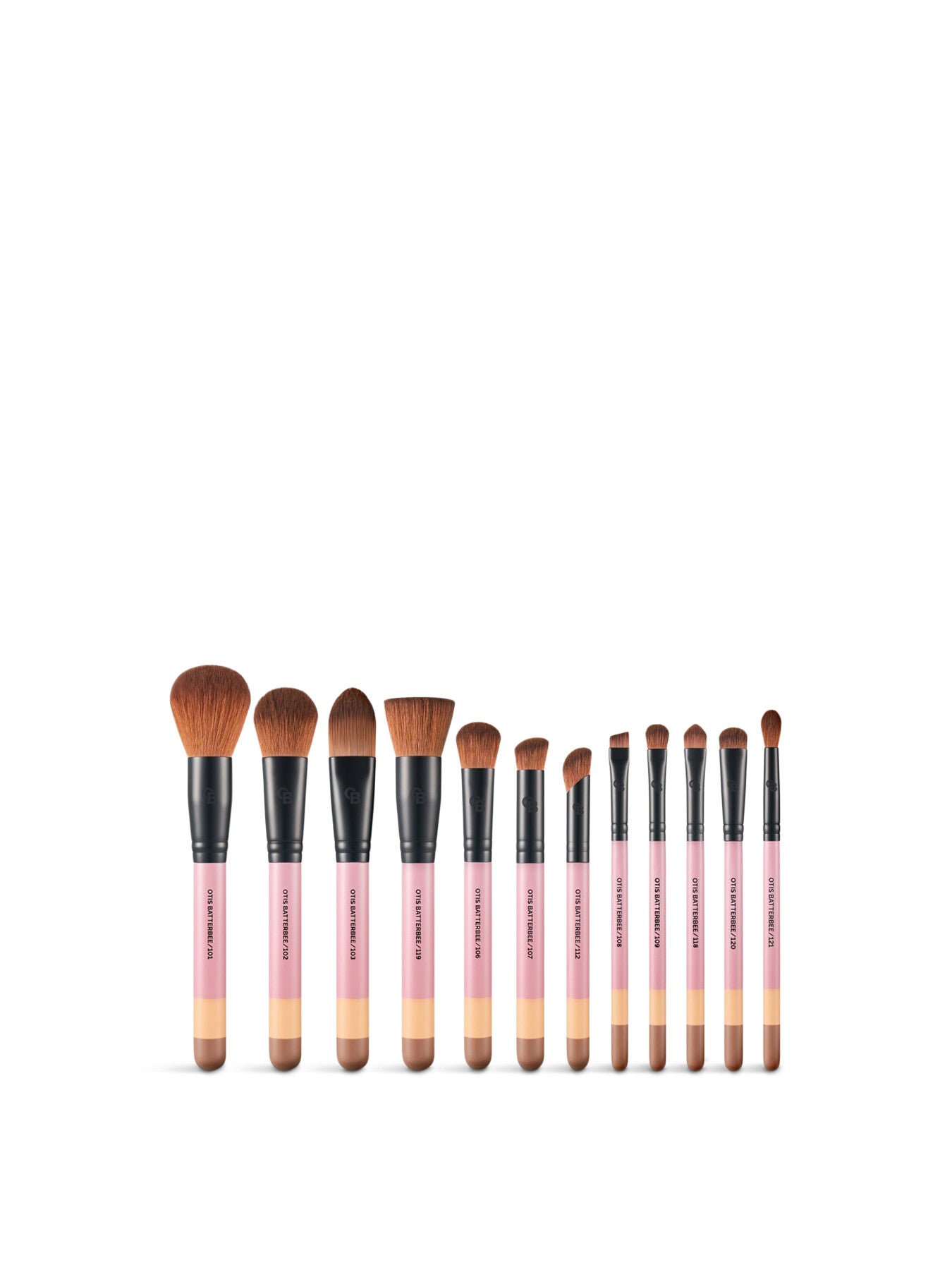 12 Piece Brush Set