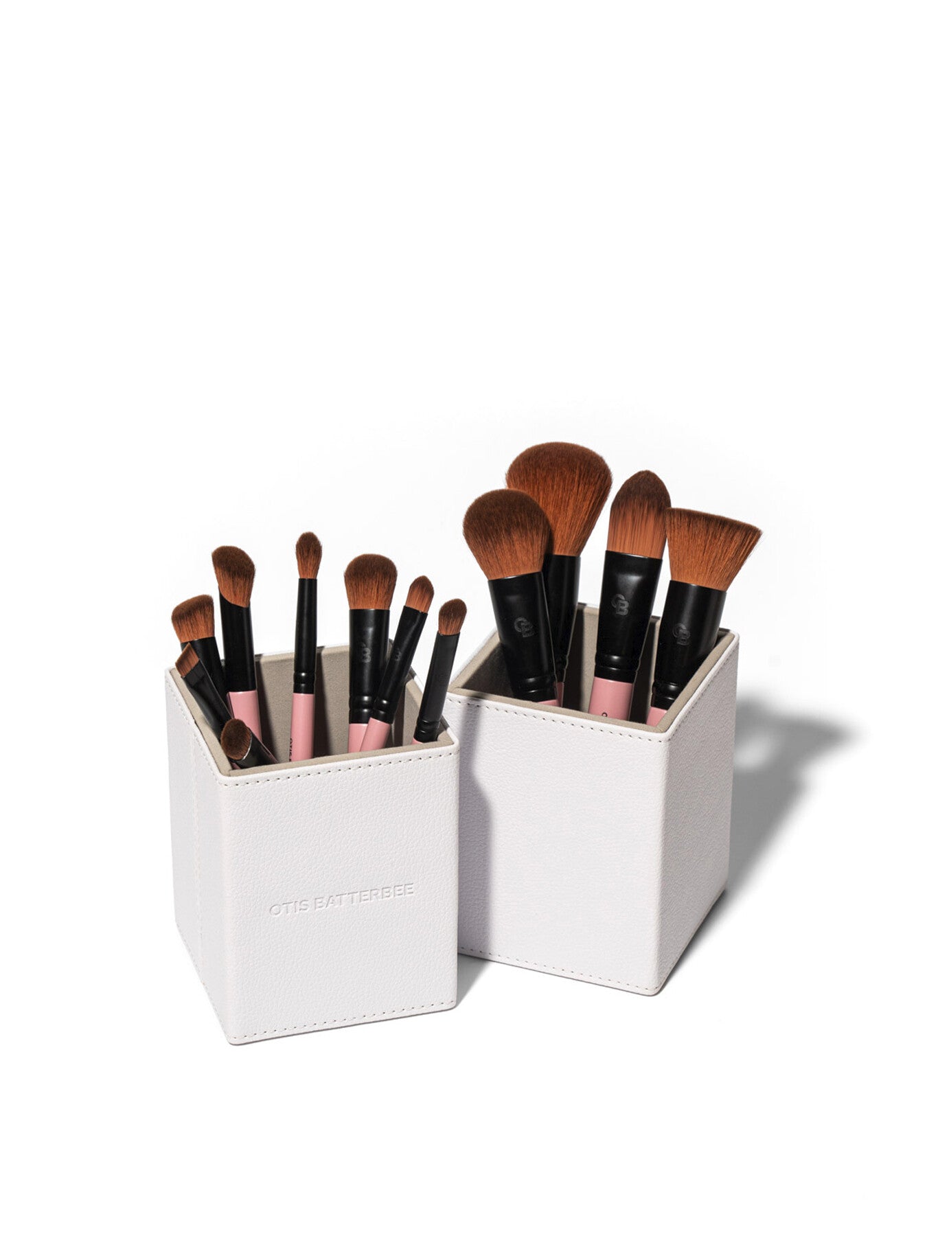 12 Piece Brush Set