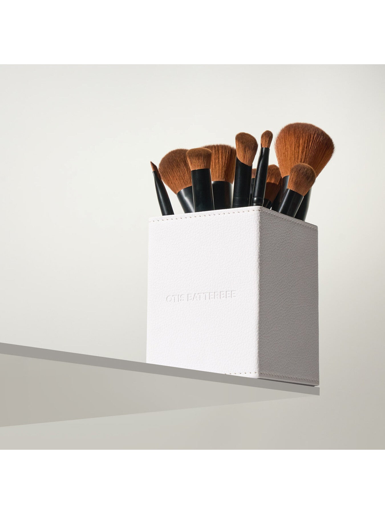 12 Piece Brush Set