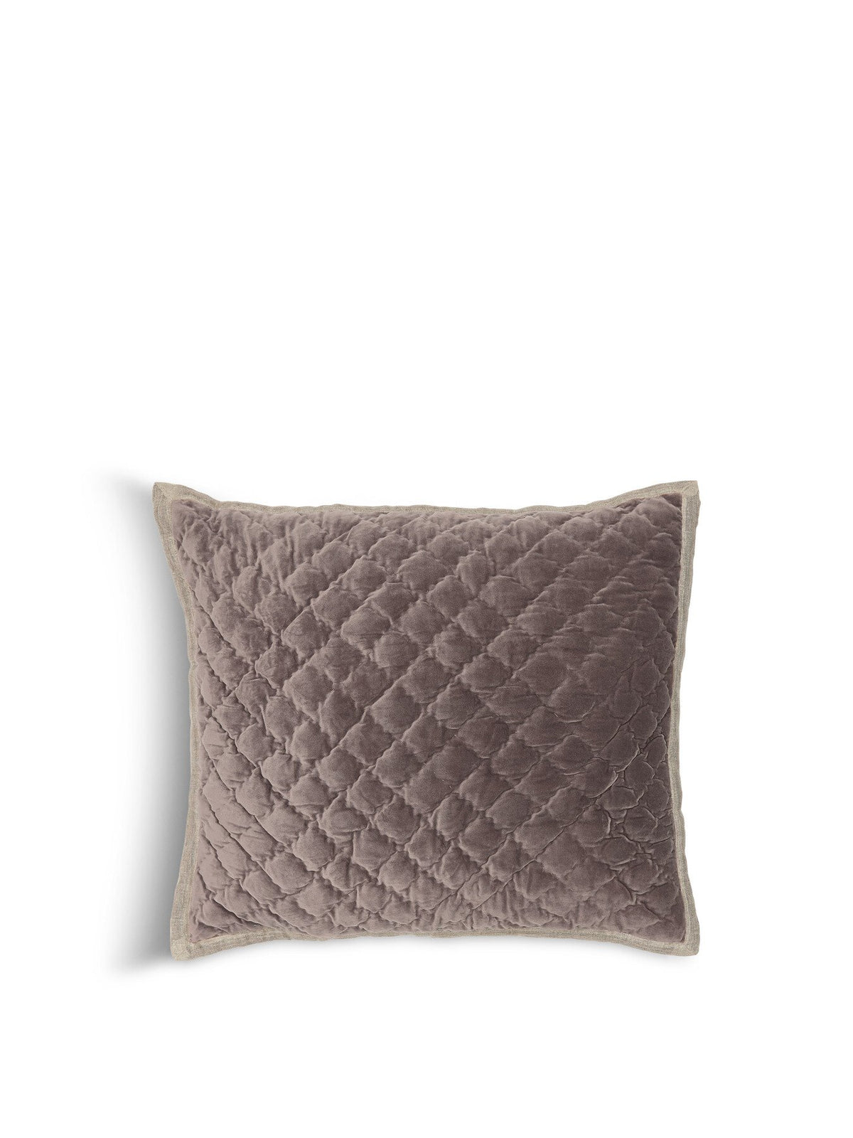 Claudia Pillowsham