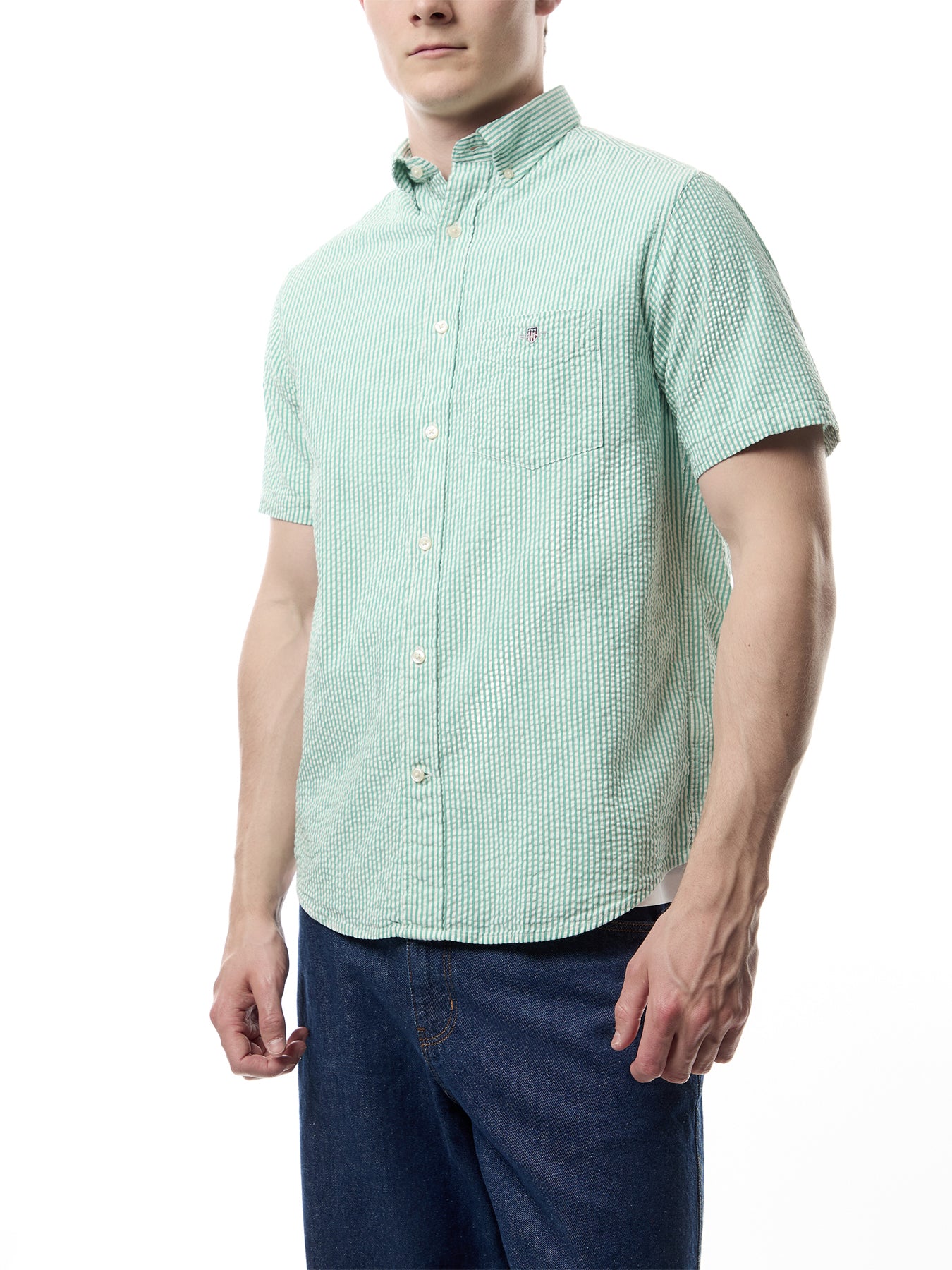 Regular Fit Striped Seersucker Short Sleeve Shirt