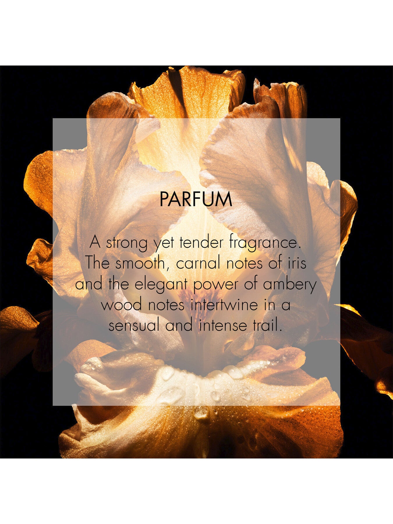 Dior Homme Parfum 50ml