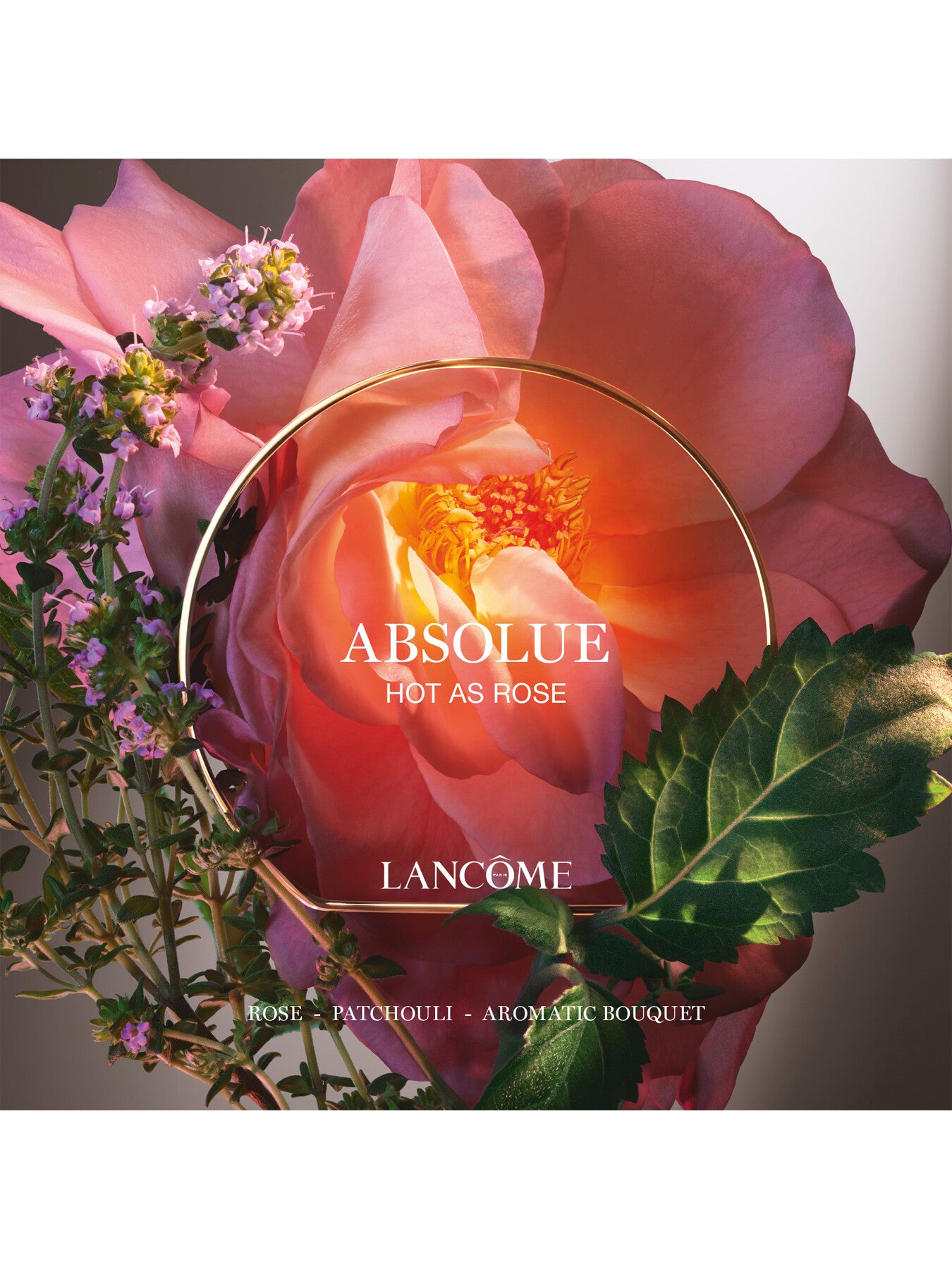Absolue Les Parfums Hot As Rose Eau de Parfum 50ml