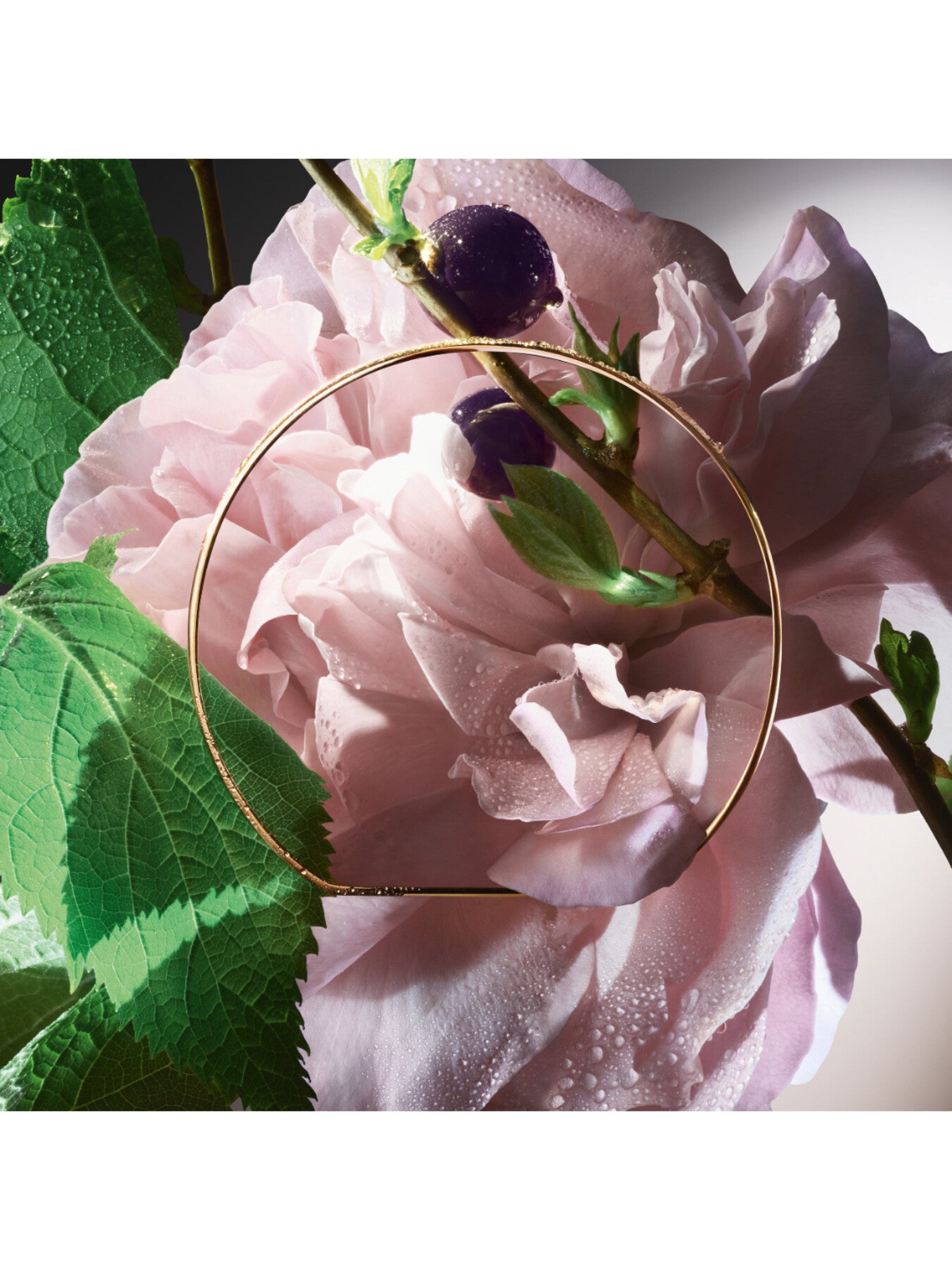 Absolue Les Parfums Storm and Roses Eau de Parfum 50ml