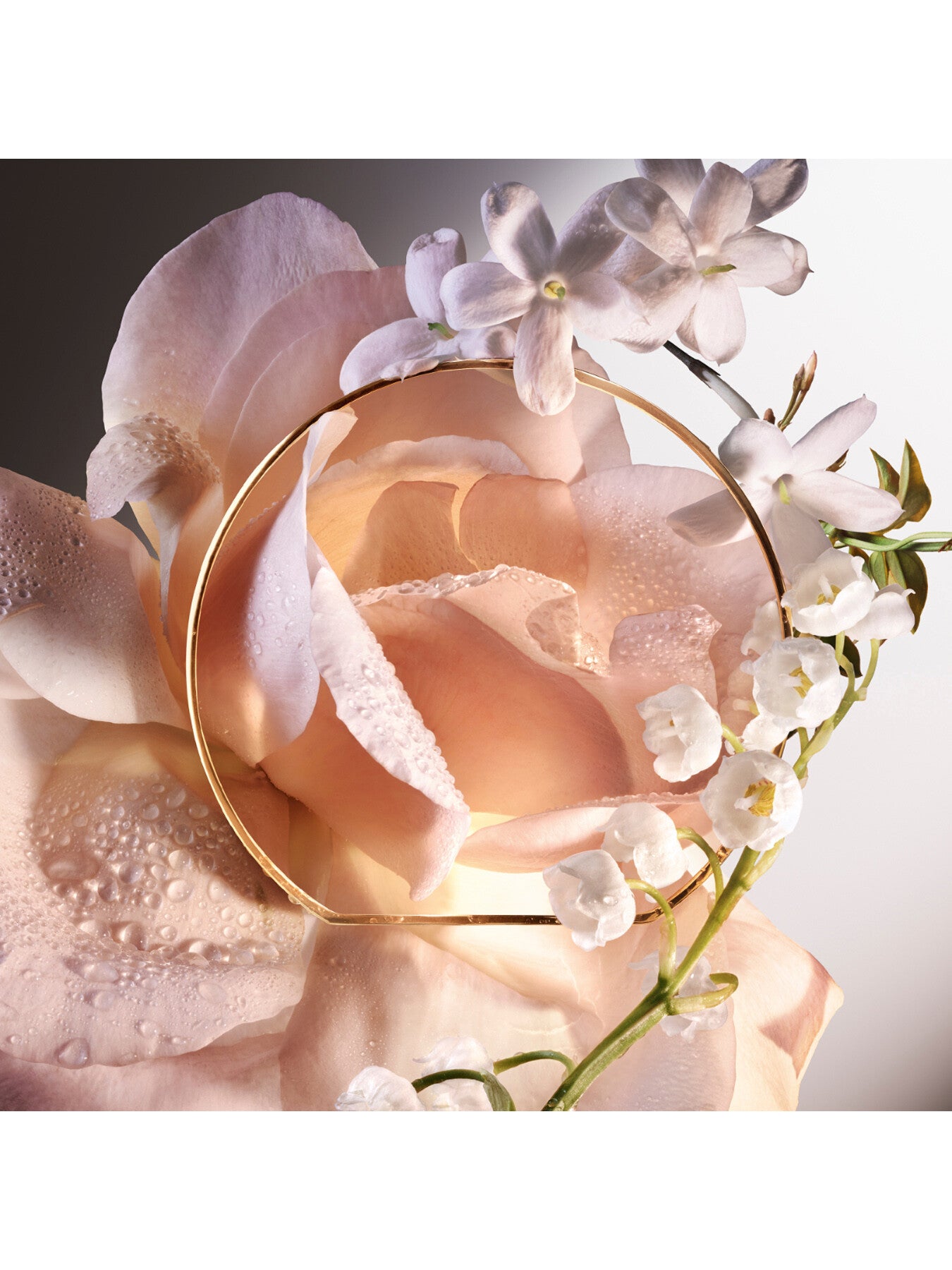 Absolue Les Parfums 6am Rose Eau de Parfum 50ml