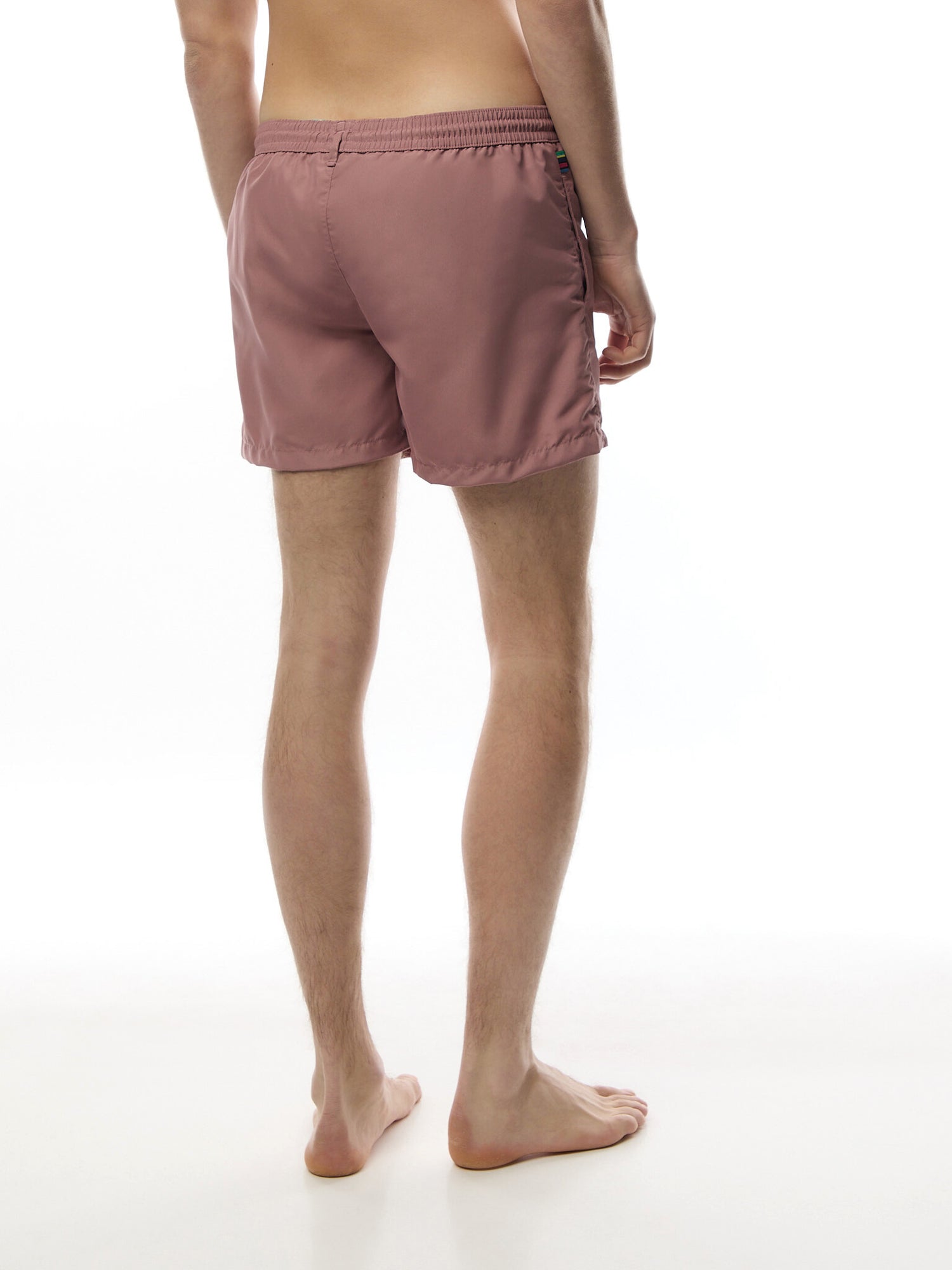 Zebra Logo Shorts