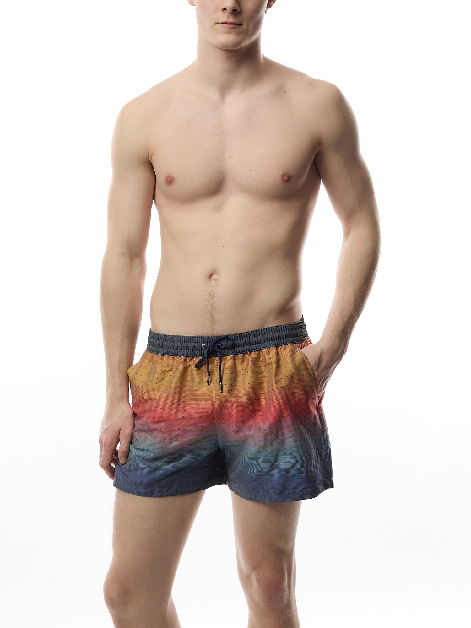 Ombre 'Artist Stripe' Swim Shorts