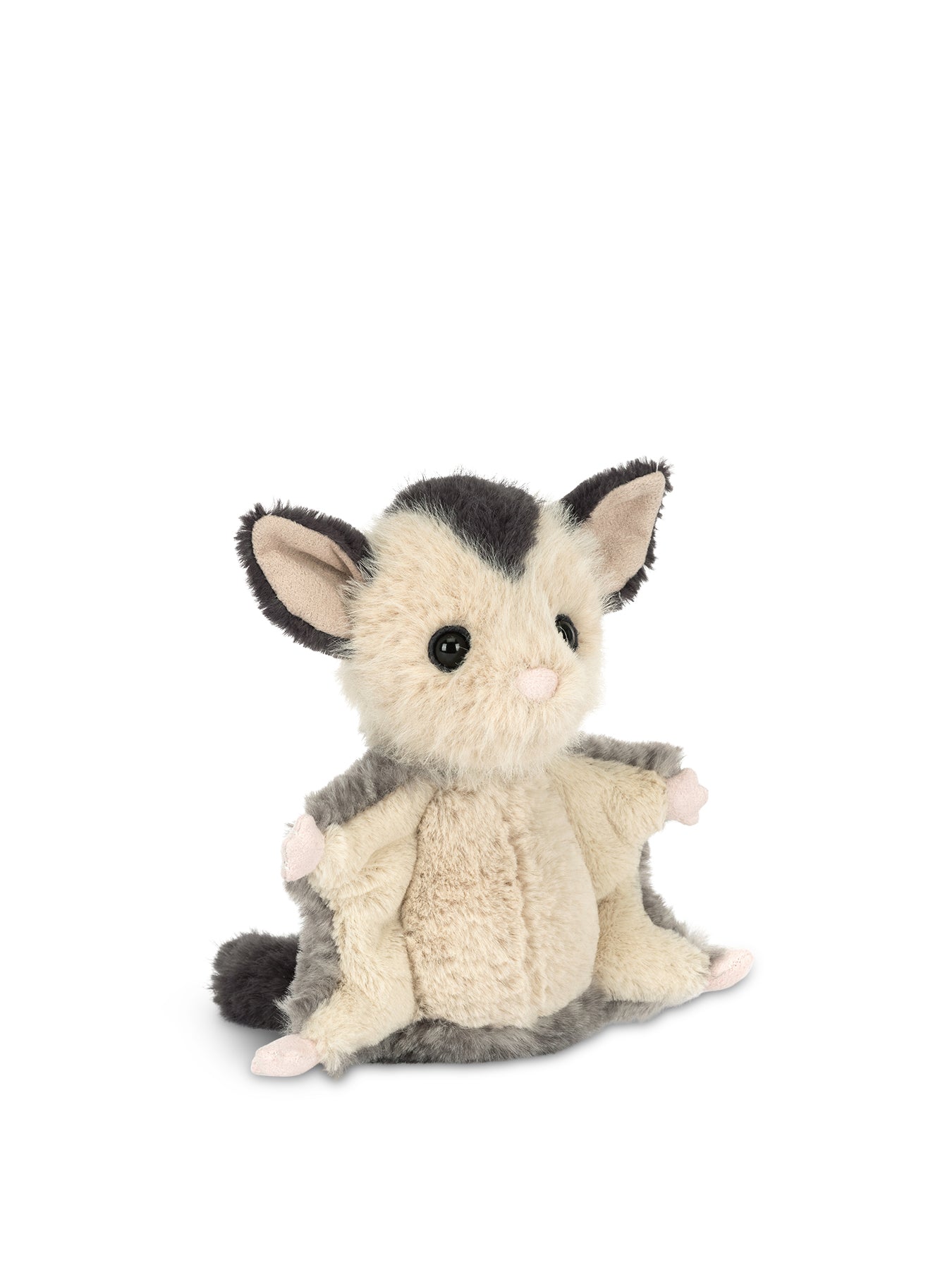 Lolly Sugar Glider