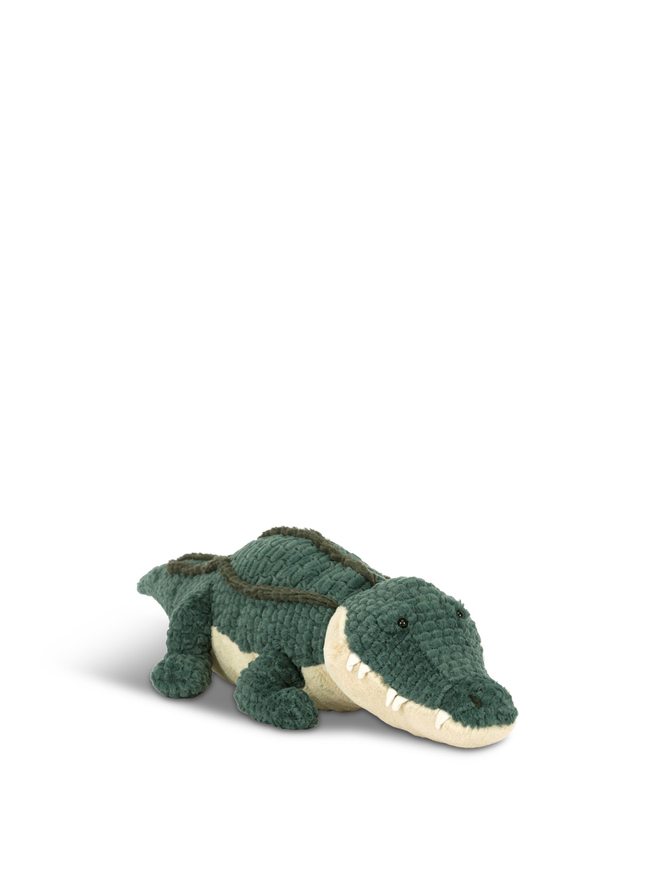Allexi Alligator