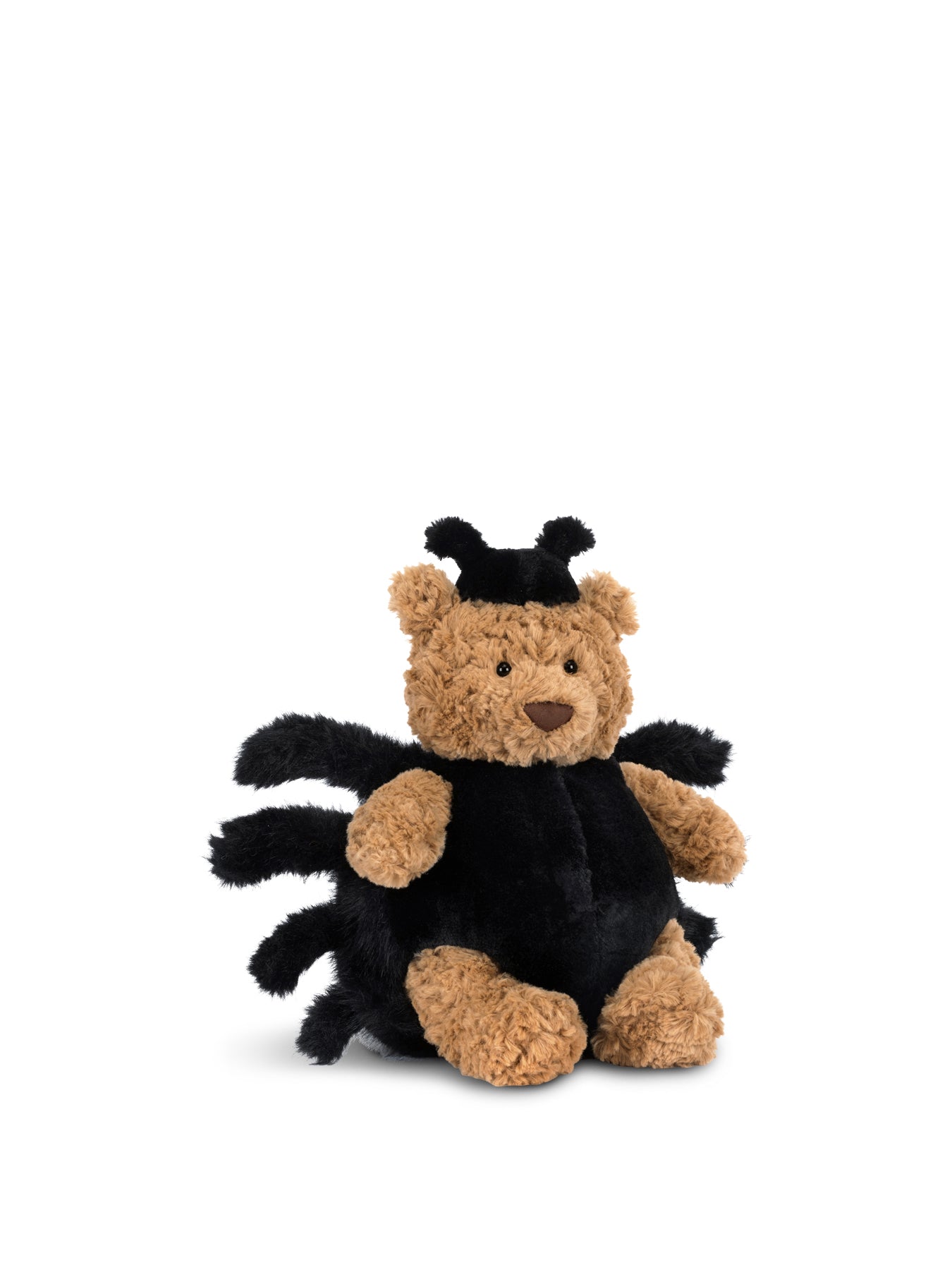 Bartholomew Bear Spider
