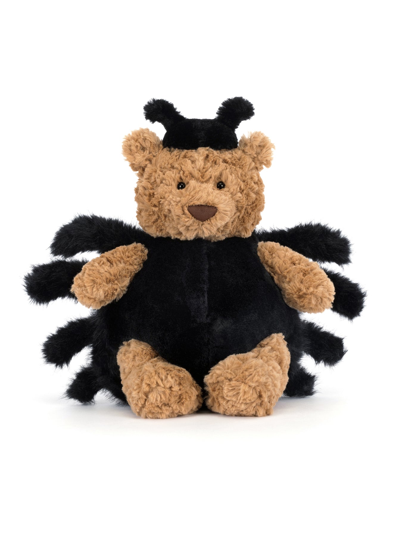 Bartholomew Bear Spider