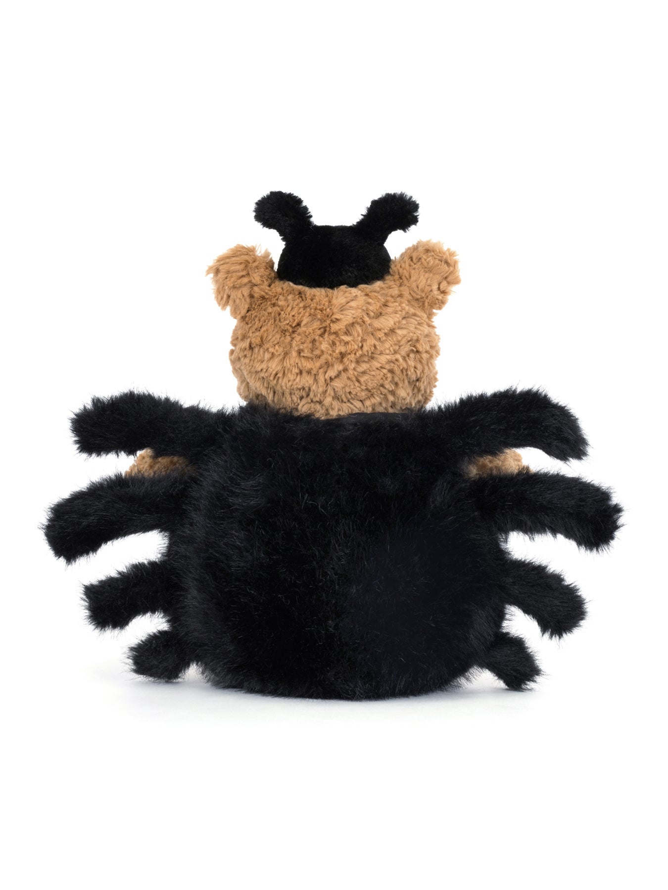Bartholomew Bear Spider