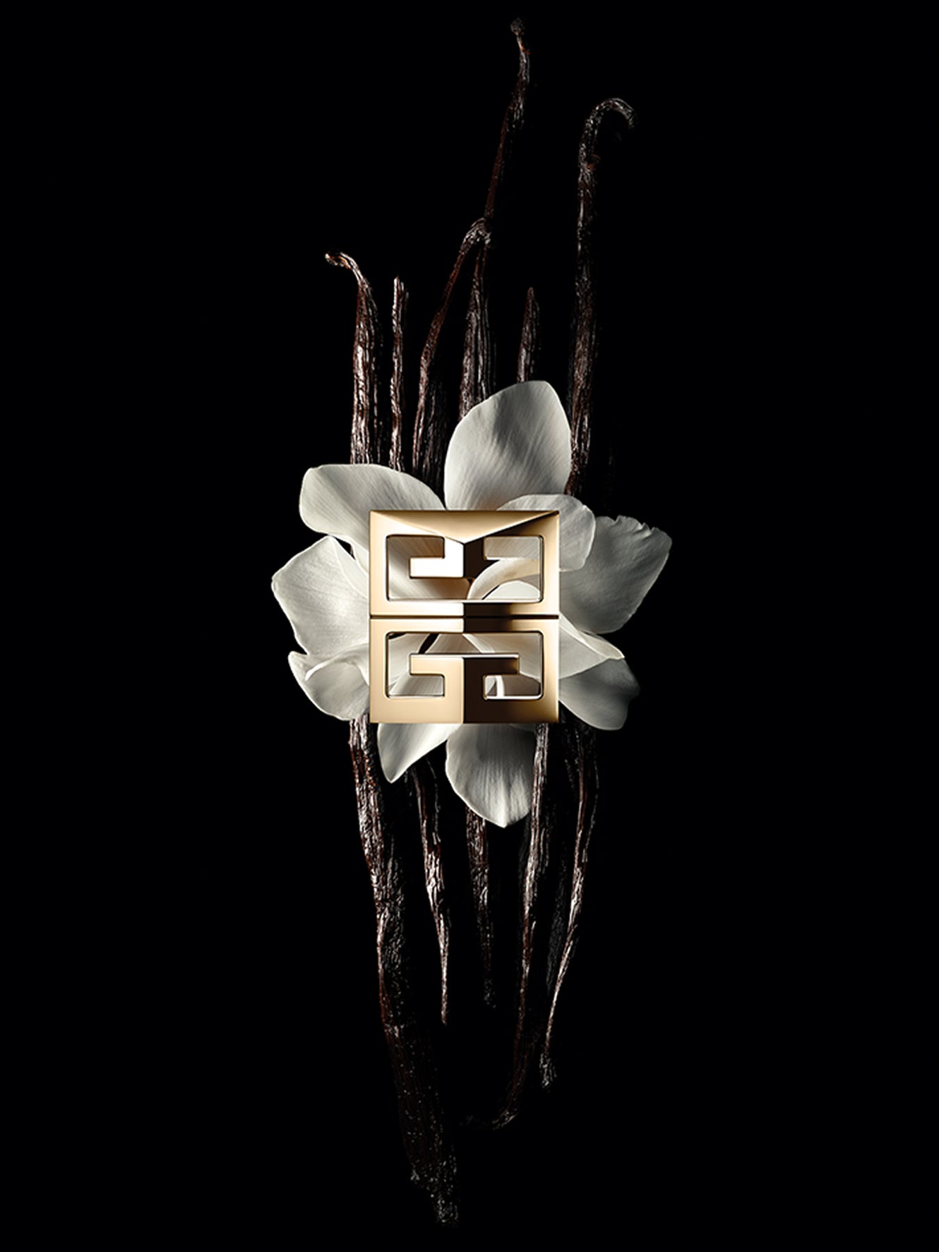 Gentleman Society Eau de Parfum Ambree 60ml