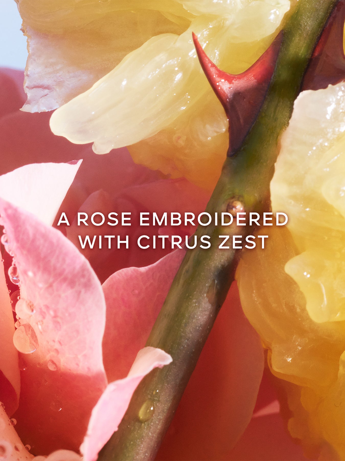 La Petite Robe Noire Eau De Toilette 100ml