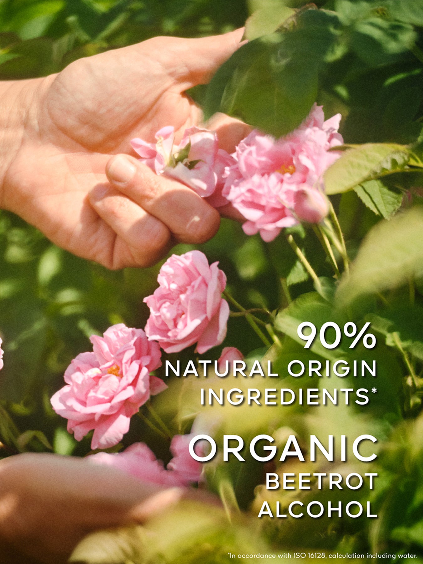 La Petite Robe Noire Eau De Toilette 100ml