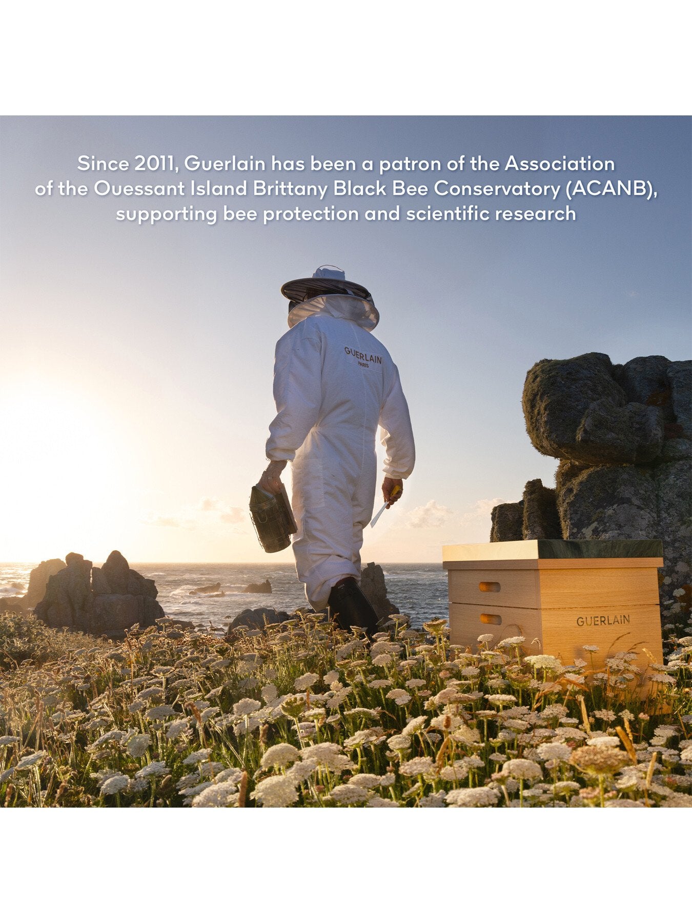 Abeille Royale Youth Watery Oil Serum 50ml