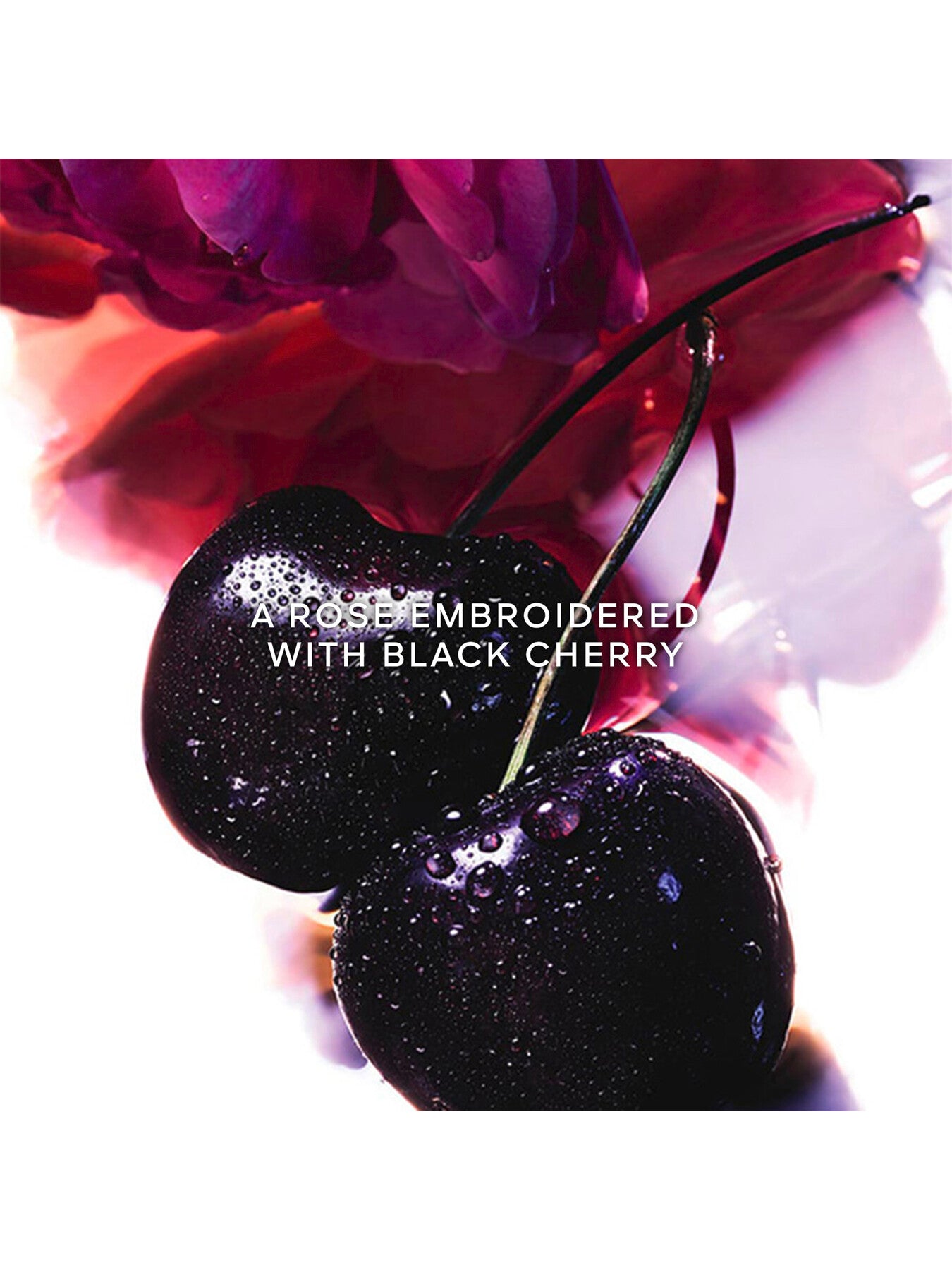 La Petite Robe Noire Eau de Parfum Mother's Day Set 50ml + Body Lotion