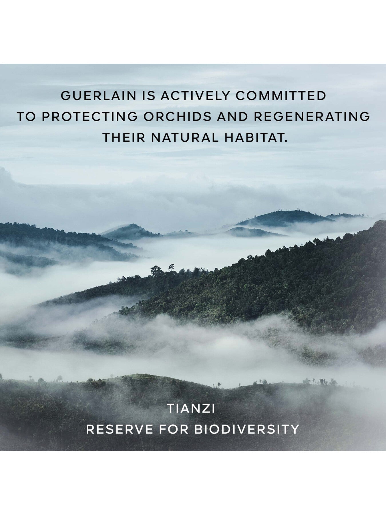 Orchidée Impériale The Foam in Cream 150ml