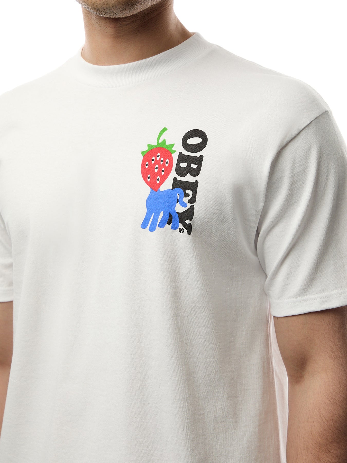 Obey Strawberry Graphic T-Shirt