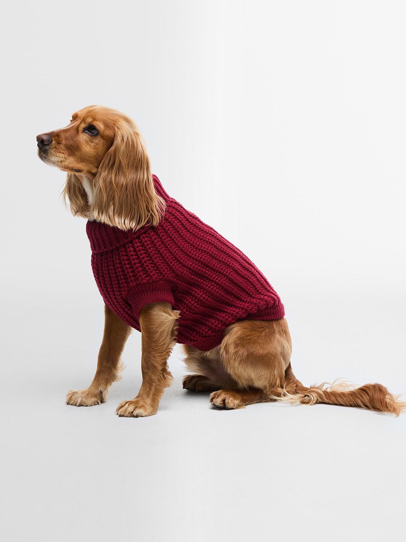 Barbour Saltburn Dog Jumper Biking Red Small