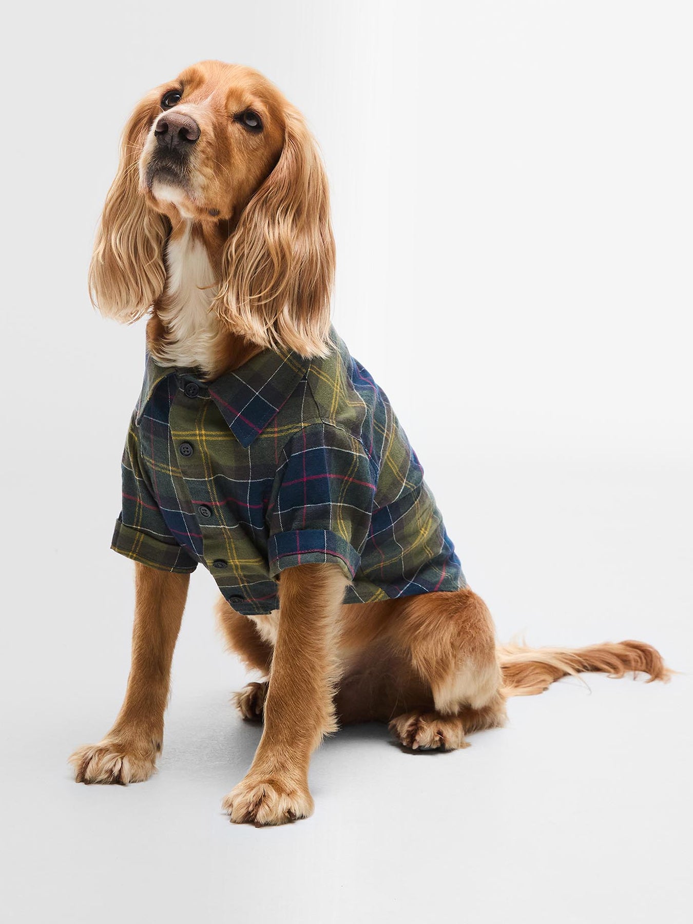 Barbour Fortrose Dog Shirt Classic Tartan Small