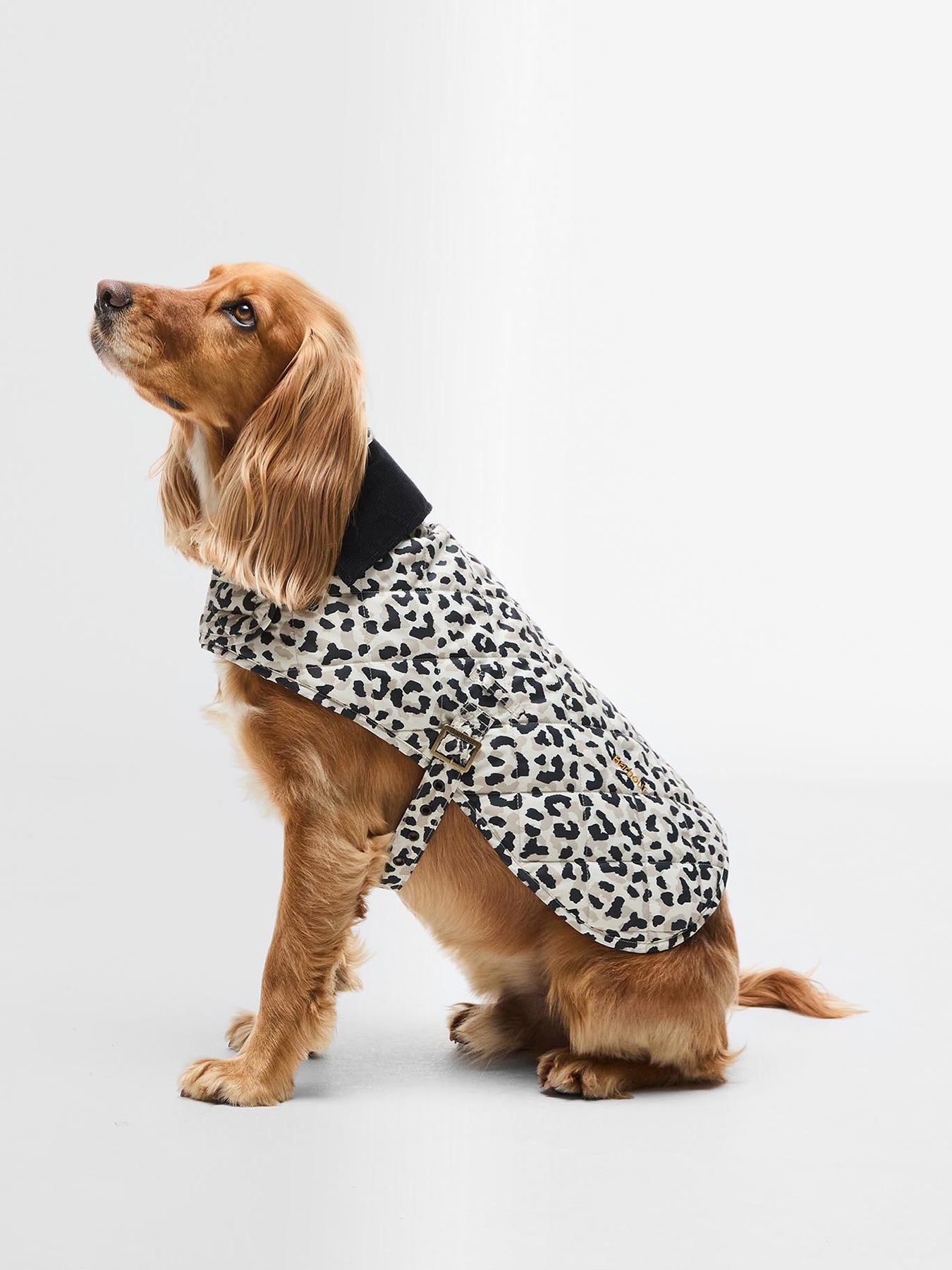 Barbour Harley Quilted Dog Coat Jasmine Leopard Large