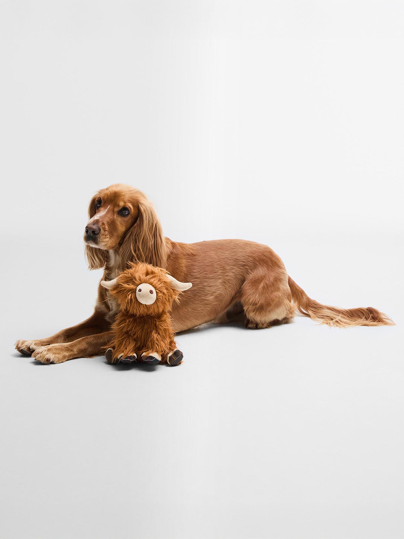 Barbour Highland Cow Dog Toy Brown Classic