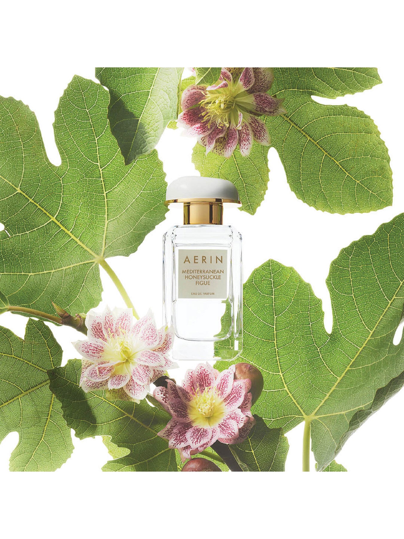 Mediterranean Honeysuckle Figue Eau de Parfum 50ml