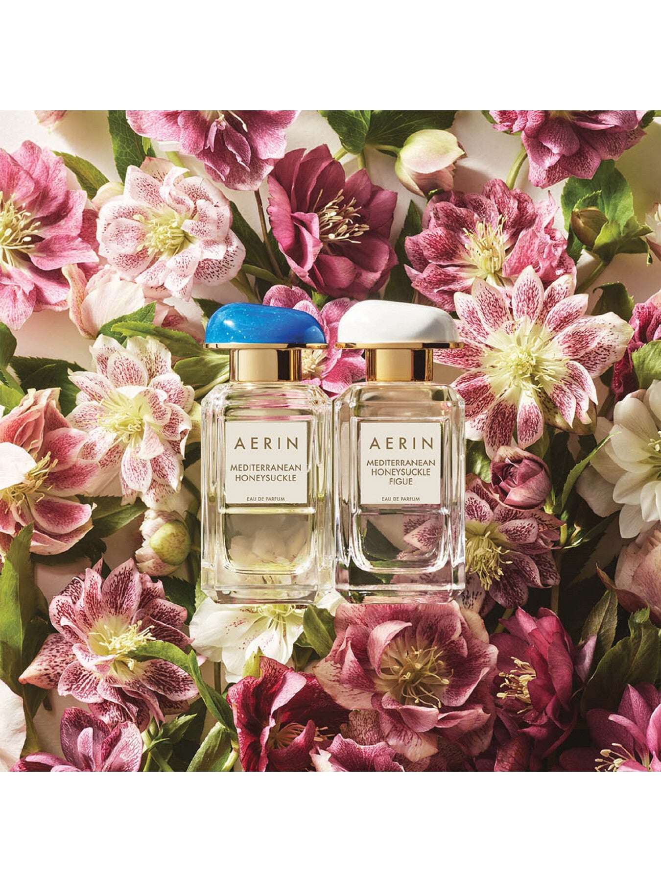 Mediterranean Honeysuckle Figue Eau de Parfum 50ml