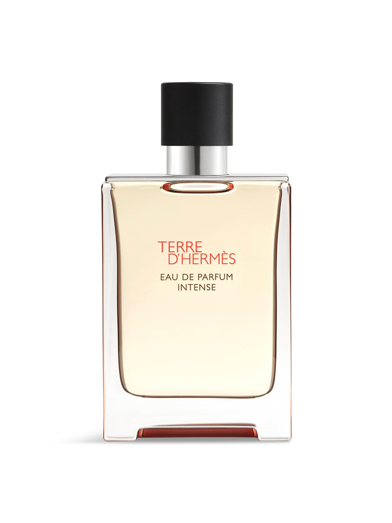 Terre d'Hermès Eau de Parfum Intense 100 ml