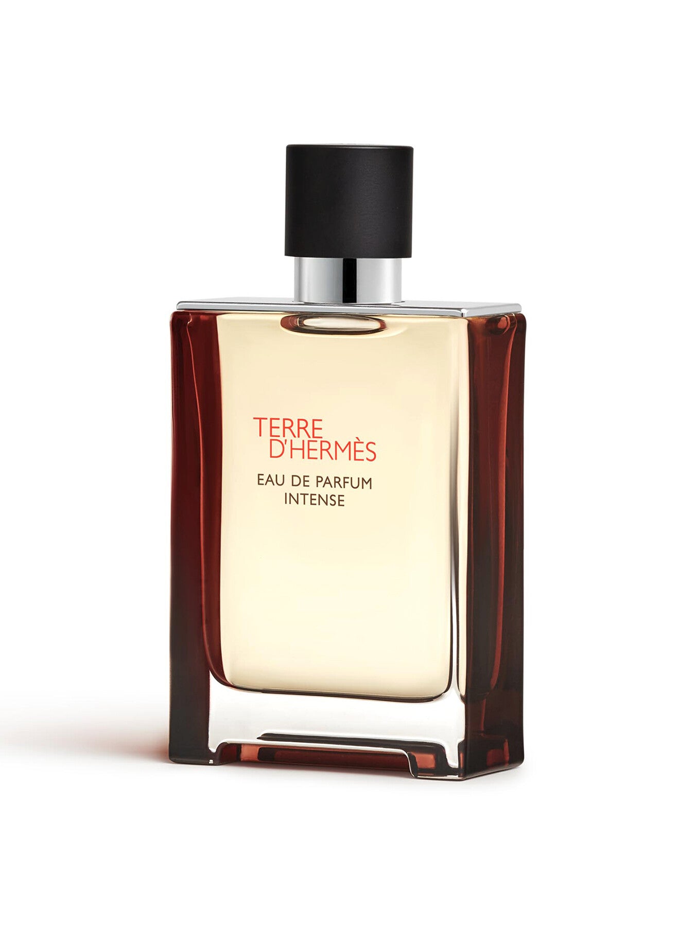 Terre d'Hermès Eau de Parfum Intense 100 ml