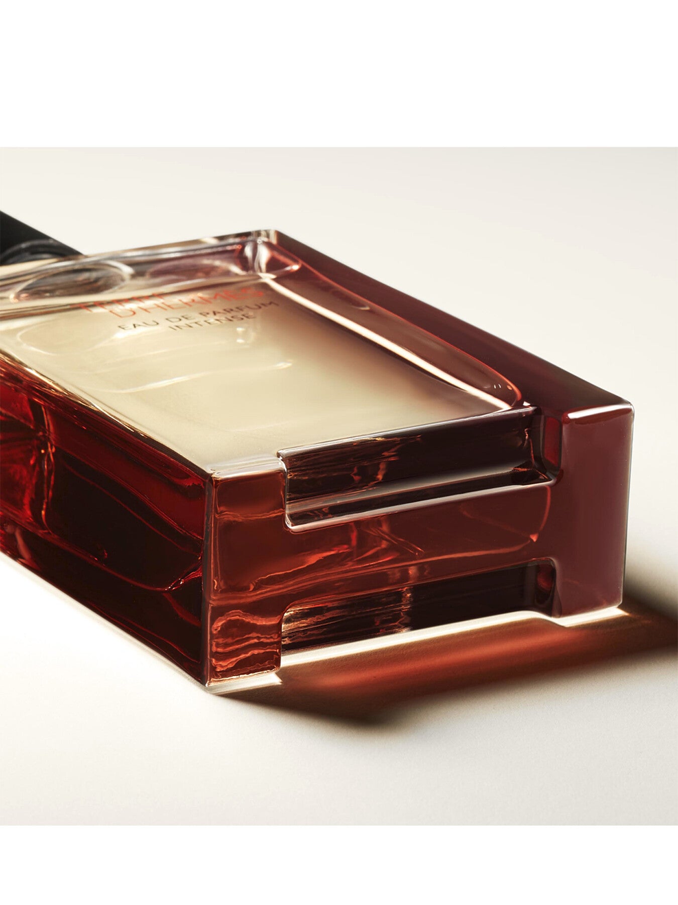 Terre d'Hermès Eau de Parfum Intense 100 ml