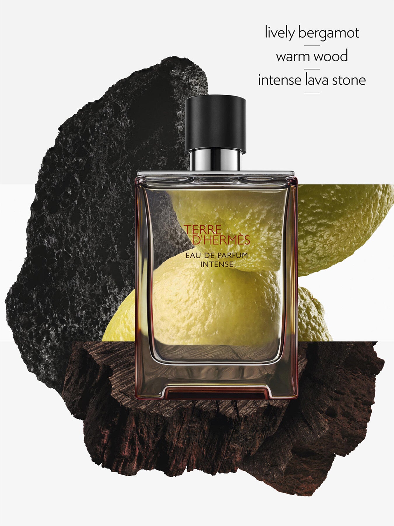 Terre d'Hermès Eau de Parfum Intense 100 ml