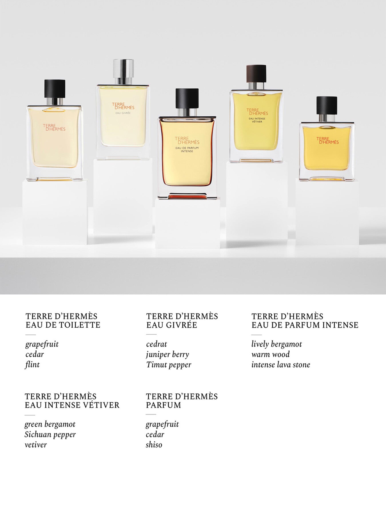 Terre d'Hermès Eau de Parfum Intense 100 ml