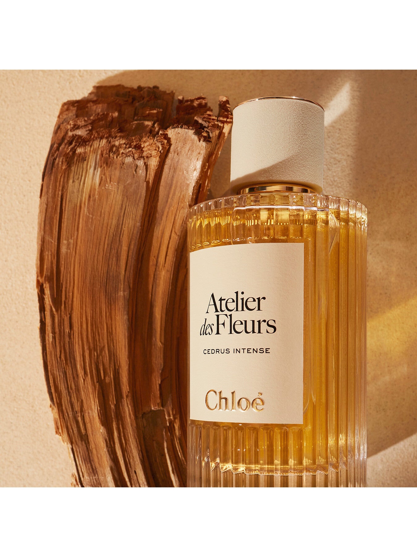 Chloé Cedrus Intense 50ml 箱無し Atelier des Fleurs Cedrus Intense Eau de Parfum 50ml – Fenwick
