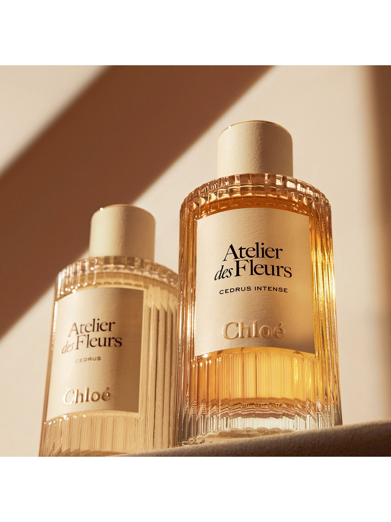 Atelier des Fleurs Cedrus Intense Eau de Parfum 50ml – Fenwick