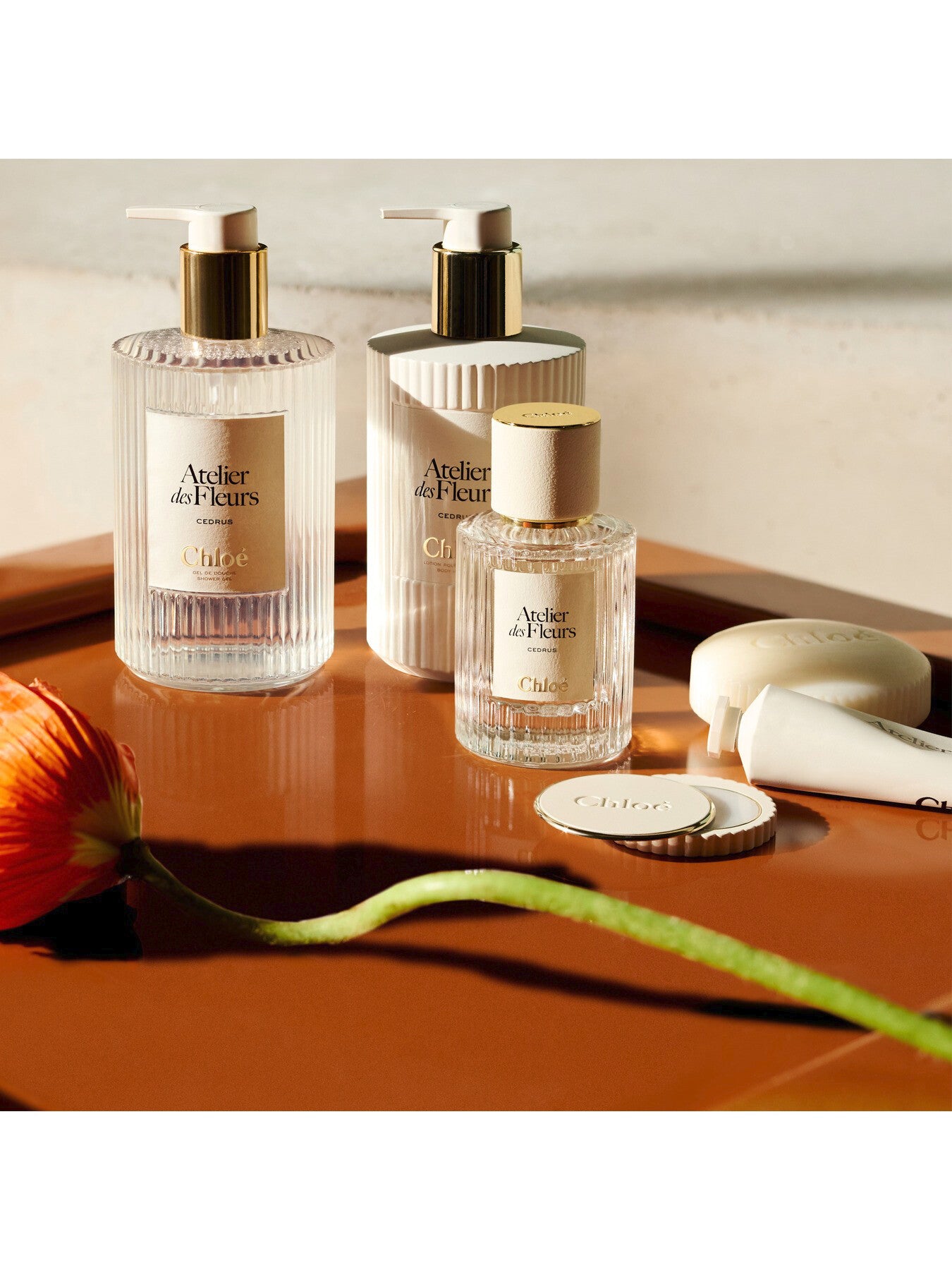 Chloé Atelier des Fleurs Cedrus Perfumed Body Lotion, 300ml