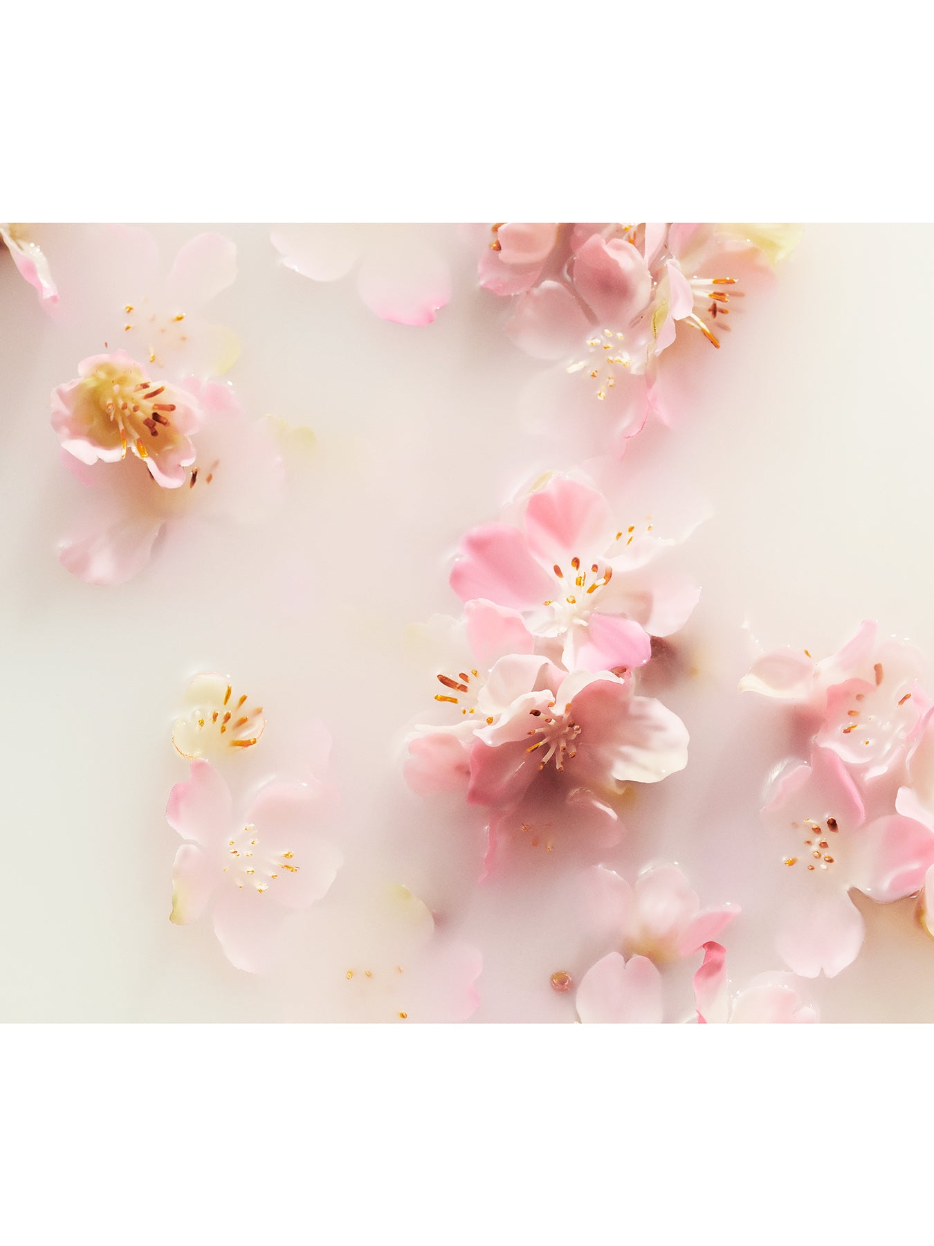The Ritual of Sakura Refill Fragrance Sticks 500ml