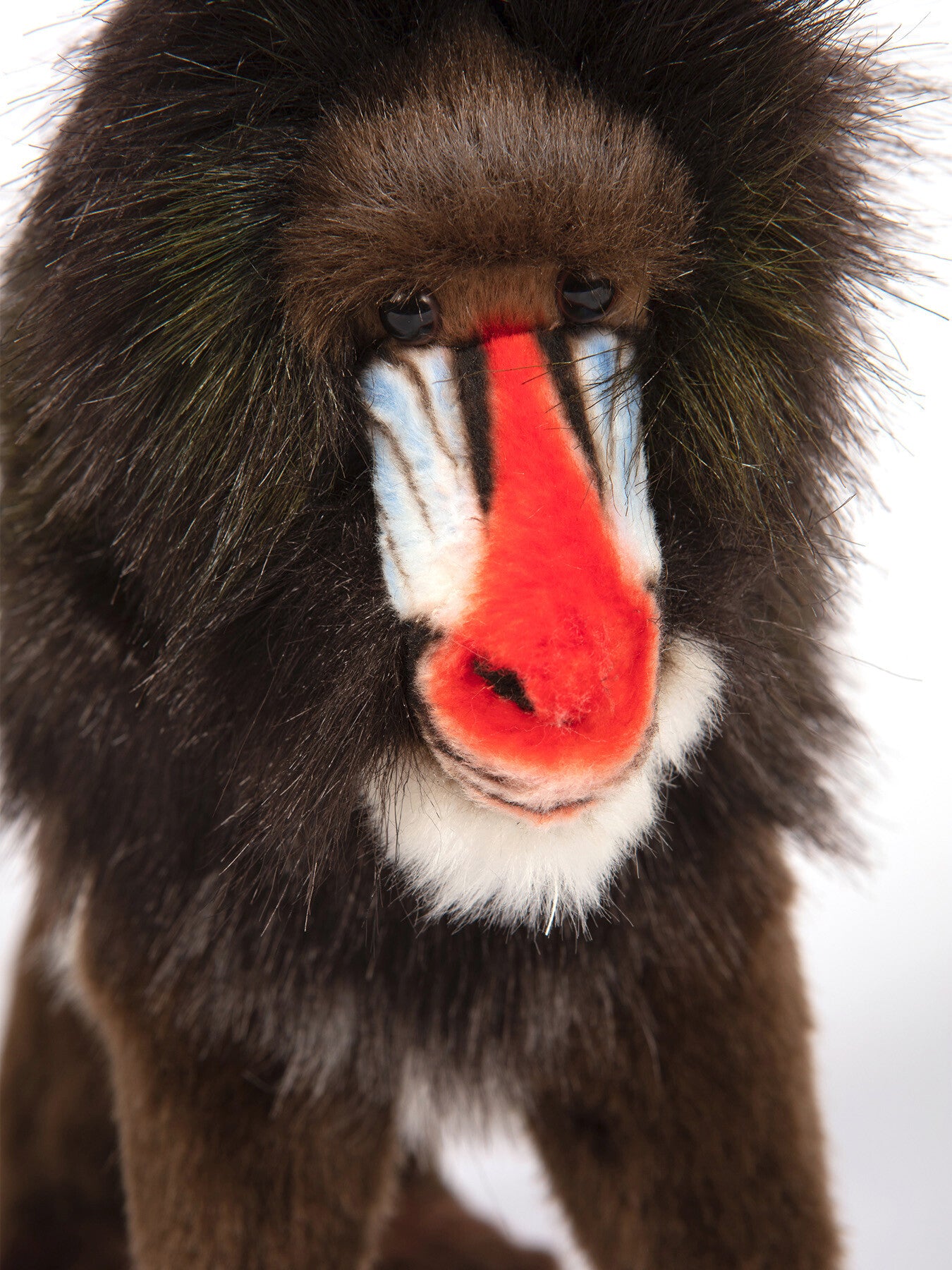 Mandrill