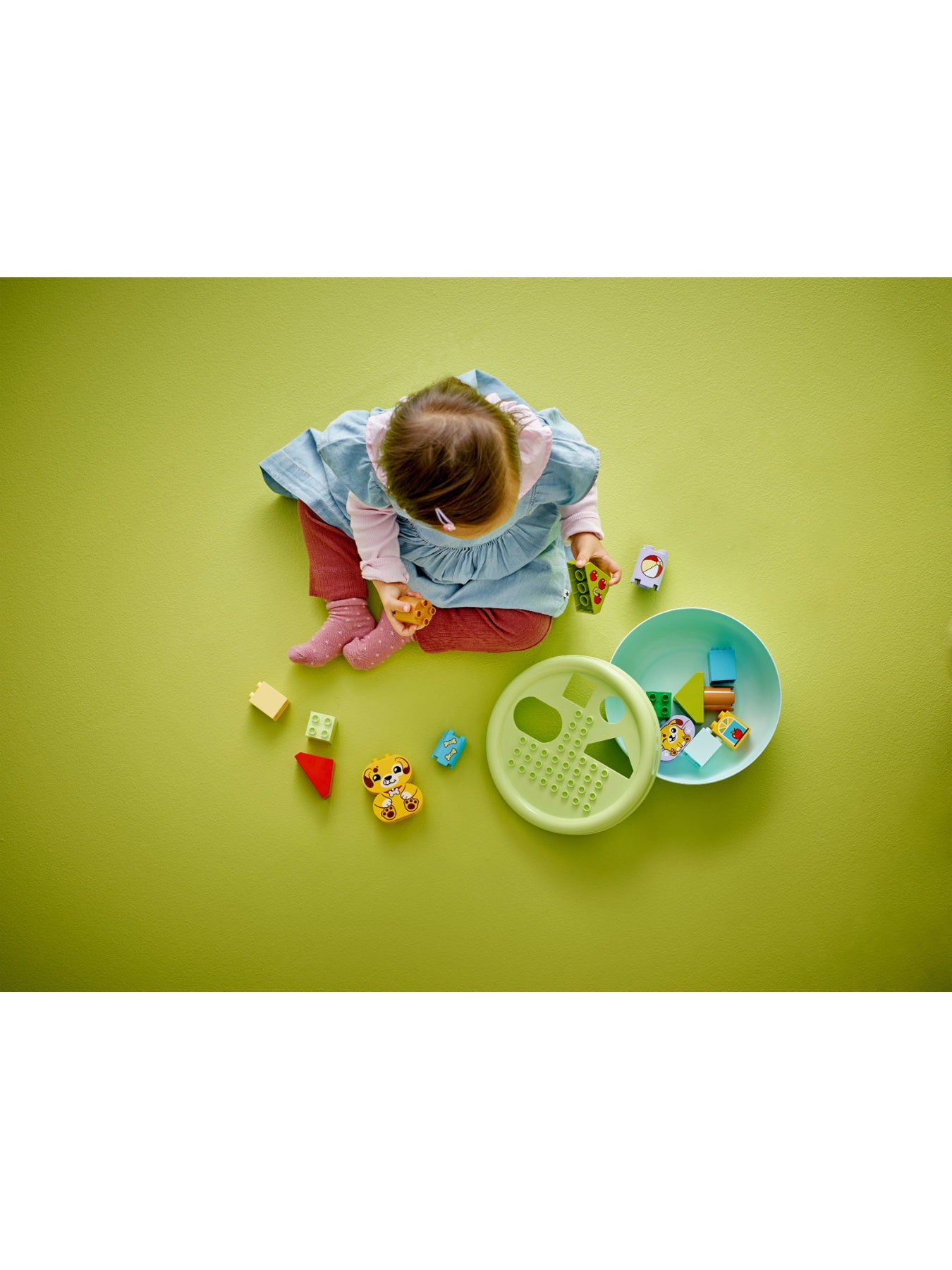 Shape Sorter: Puppy House 10441