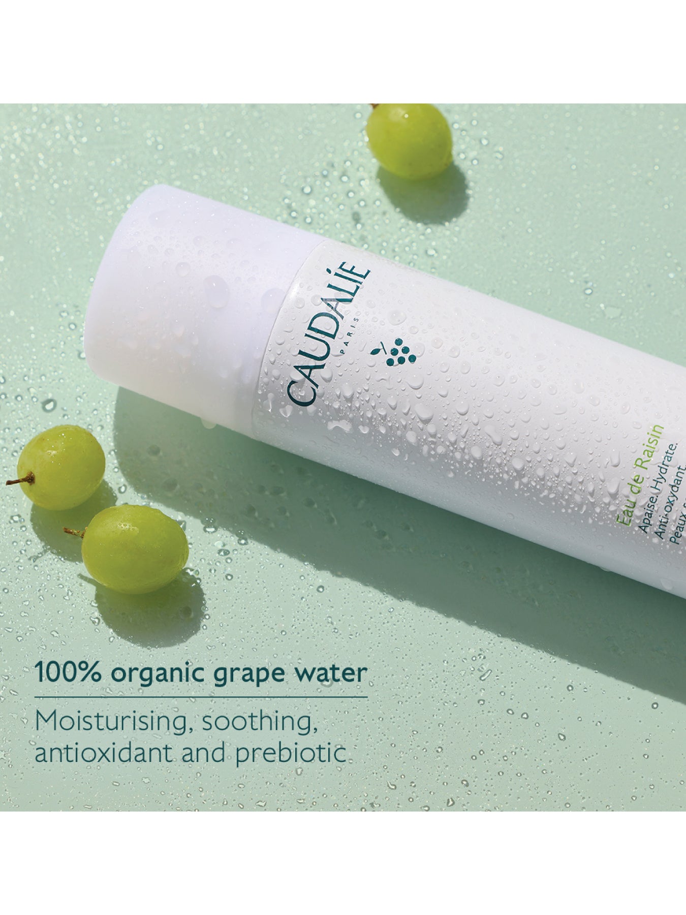 Caudalie Grape Water 300ml