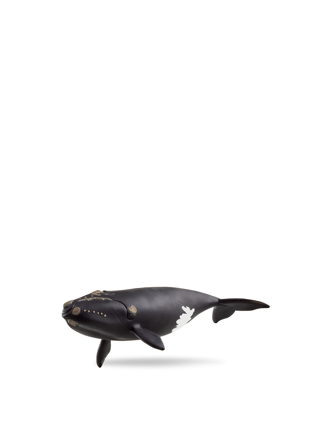 North Atlantic Right Whale Figurine