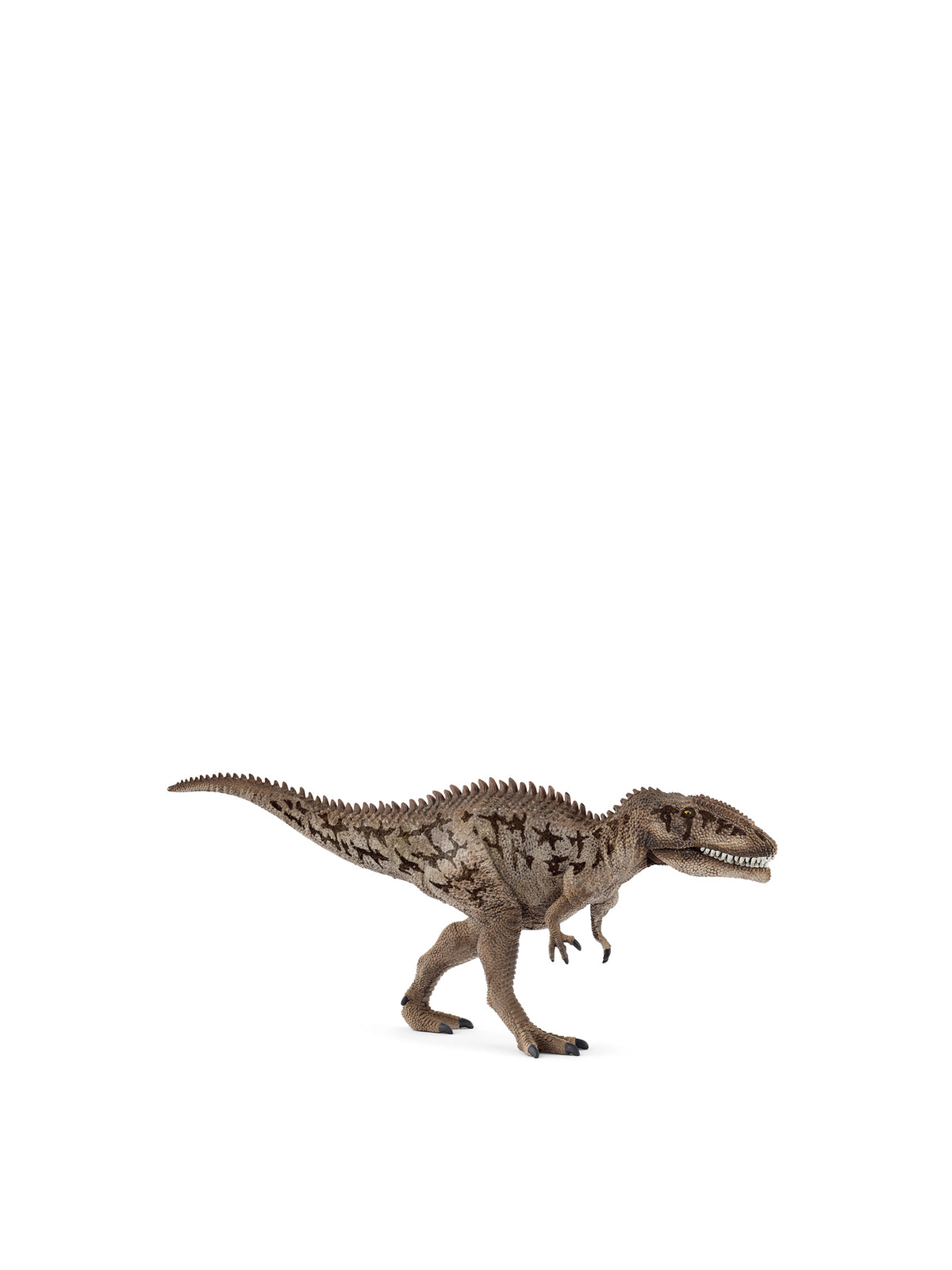 Carcharodontosaurus Figure